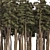 Douglas Fir Forest 3D Model 3D model small image 5