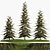 Evergreen Trees Collection for Landscape Design 3D model small image 1