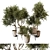 Elegant Indoor Plant 3D Model 3D model small image 1