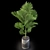 Greenery 874: Lush Botanical Selection 3D model small image 2