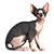 Sphynx Model Kitten: 287mm Height 3D model small image 5