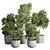 Greenery Set 144 Corona Pot 3D model small image 1