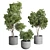 Greenery Set 144 Corona Pot 3D model small image 6