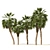 Chinese Fan Palm 3D Model 3D model small image 5