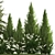  Urban Greenery Collection - Conifers & Grasses 3D model small image 3