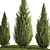 Cypress and Thuja Garden Set 3D model small image 2