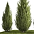 Cypress and Thuja Garden Set 3D model small image 3