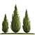 Cypress and Thuja Garden Set 3D model small image 7