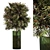 Pompos Bouquet 3D Model FBX 3D model small image 1