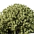 Boxwood Topiary Ball Bush Set 3D model small image 2