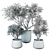 Modern Indoor Plant 211 Render 3D model small image 4