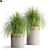 Customize Your Space With This Outdoor Plant 3D model small image 1