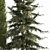 Coniferous Greenery Collection 3D model small image 3