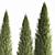 Coniferous Trees Set for Landscaping 3D model small image 6