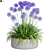 Agapanthus Design-Populating Plants 3D model small image 1