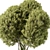 Evergreen Tree In Pot 3D model small image 2