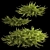 Juniper Collection for Landscape Design 3D model small image 1