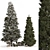 Premium Pine Tree 3D Model 3D model small image 1