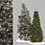 Premium Pine Tree 3D Model 3D model small image 2