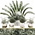 Lush Plant Collection Set 3D model small image 1