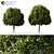 3D model tree for Corona 3D model small image 2