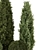 Bush Set 1301 3D Models 3D model small image 5