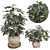 48-Piece Umbrella Tree Plant Collection 3D model small image 1