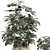 48-Piece Umbrella Tree Plant Collection 3D model small image 3