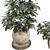 48-Piece Umbrella Tree Plant Collection 3D model small image 4