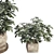 48-Piece Umbrella Tree Plant Collection 3D model small image 5