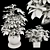 48-Piece Umbrella Tree Plant Collection 3D model small image 7