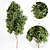  Urban Arboretum Collection Vol. 1 3D model small image 1