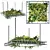 Variety Hanging Plant Set 3D model small image 1