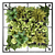 Variety Hanging Plant Set 3D model small image 2