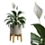 Tropical Peace Lily Potted Green 3D model small image 2