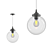 Glass Orb Pendant Light Fixture 3D model small image 1