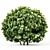 Botanical 3D Plant Models Set 3D model small image 2