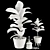 Dark Ficus Elastica Plant Model 3D model small image 7