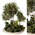 Lush Outdoor Plant 204 Display 3D model small image 1