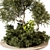 Lush Outdoor Plant 204 Display 3D model small image 2