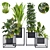 Variety Indoor/Outdoor Plant Collection 3D model small image 2