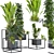 Variety Indoor/Outdoor Plant Collection 3D model small image 3