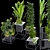 Variety Indoor/Outdoor Plant Collection 3D model small image 5