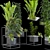 Variety Indoor/Outdoor Plant Collection 3D model small image 6