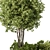 Outdoor Garden Plants Set 501 3D model small image 3