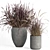 Plant007 Saabira Charcoal 3D Model 3D model small image 2