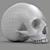 3D Skull Head Model: Render Ready 3D model small image 6