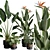 Exotic Indoor Plant Pack 39 3D model small image 2