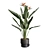 Exotic Indoor Plant Pack 39 3D model small image 6