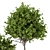 Urban Oasis Tree & Bush 3D model small image 4